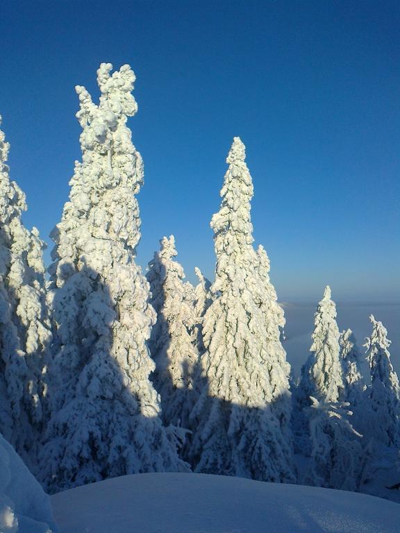Koli Freetime Cottages Ahmovaara Quarto foto