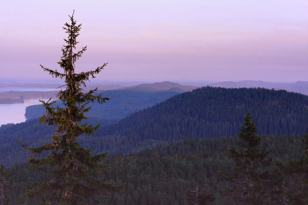 Koli Freetime Cottages Ahmovaara Quarto foto