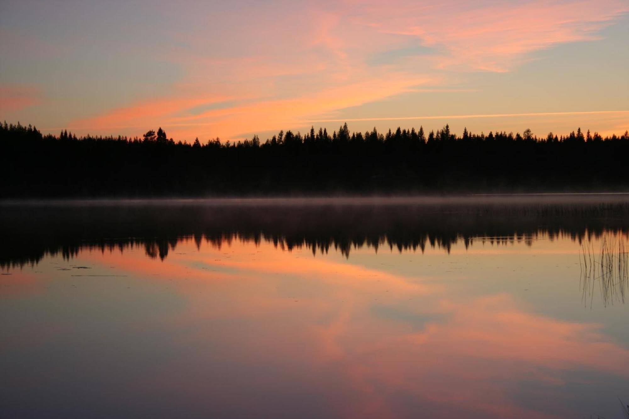 Koli Freetime Cottages Ahmovaara Quarto foto
